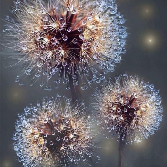 Meet your Posher, Tecia - Picture 2 of 2